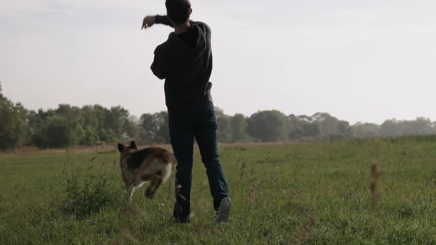 A man picks up a blue ball to play fetch with his dog