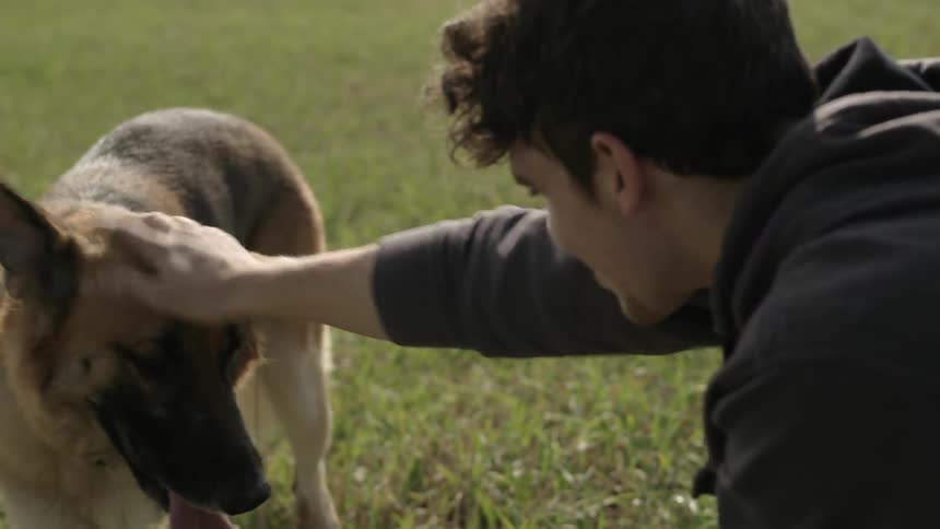 Man pets a dog on a grass field