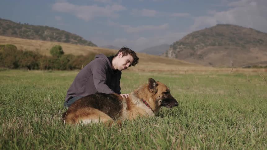 A man sits in a grassy field and pets a dog