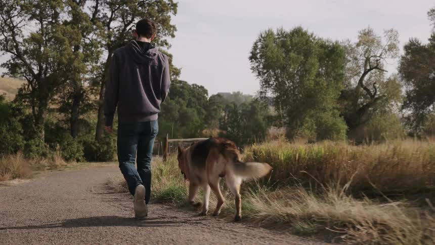 A man is walking his dog on a dirt trail