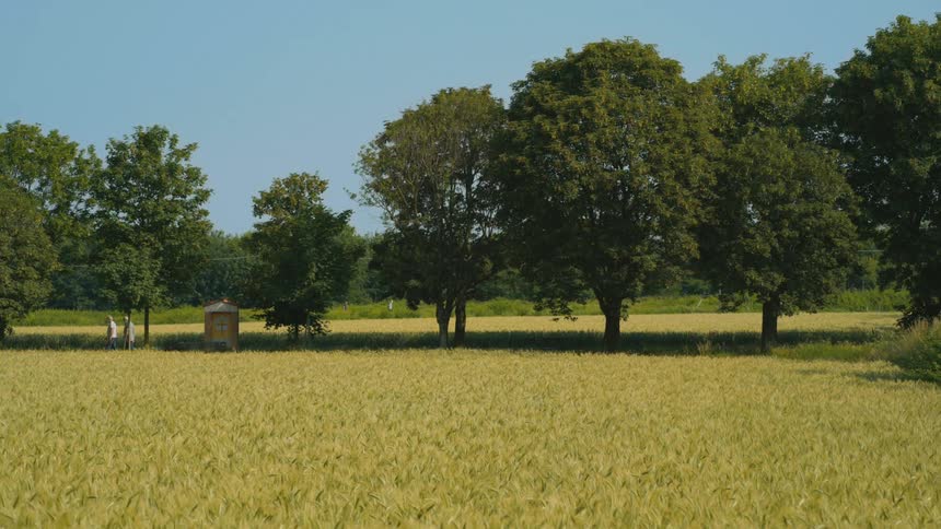 Elderly people walking on a park outdoors during day time