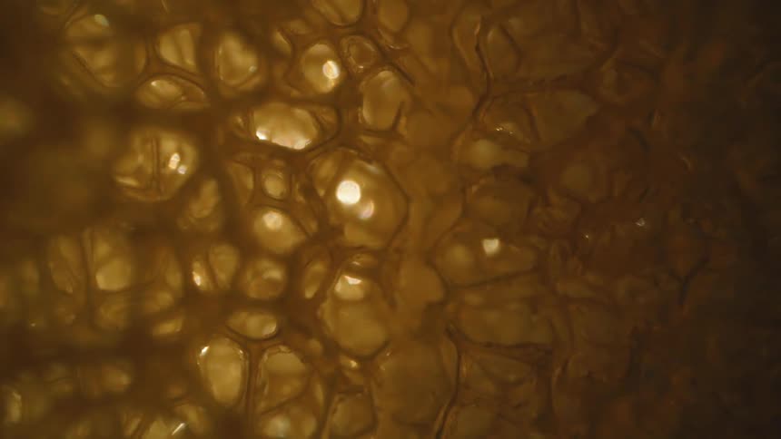 Extreme closeup of the inner patterns of an abstract honeycomb
