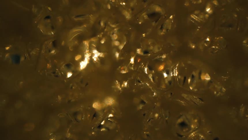 Extreme closeup of a golden abstract structure merging with a reflecting light