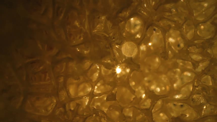 Close up of an amber plastic structure crushing
