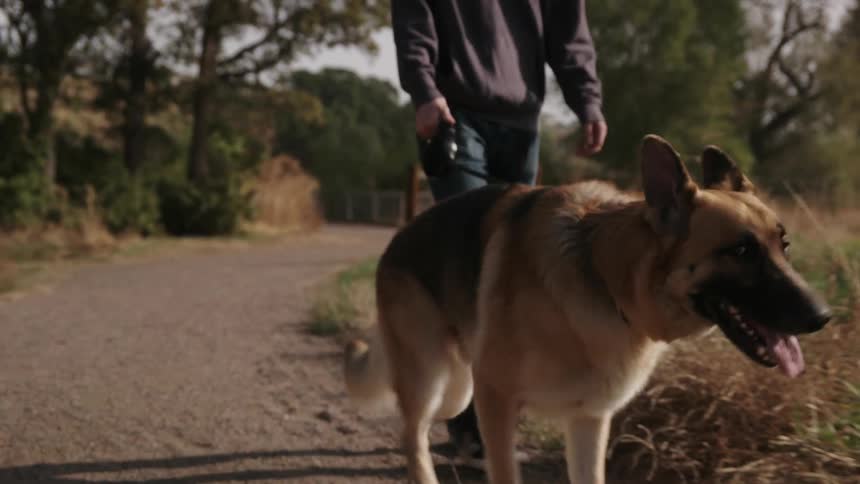 Man walks a dog in a rural area