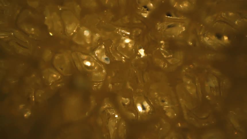 Extreme closeup of thick and shiny slime in motion