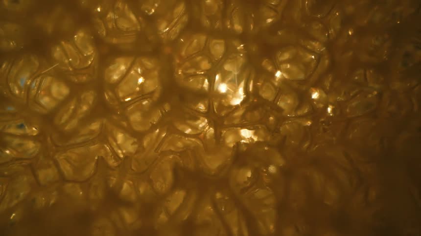 Abstract textured golden mesh