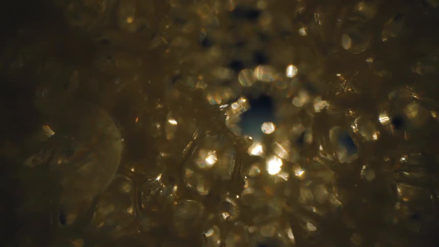 Light passing through a golden texture in abstract honeycomb patterns