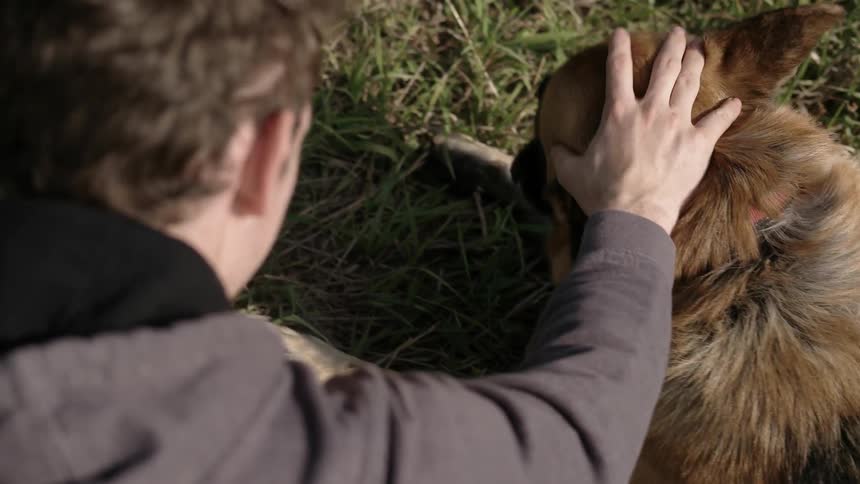 A man pets a fluffy dog