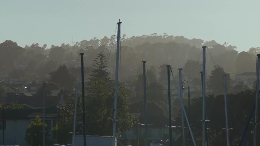 Coastal marina and town in the late afternoon