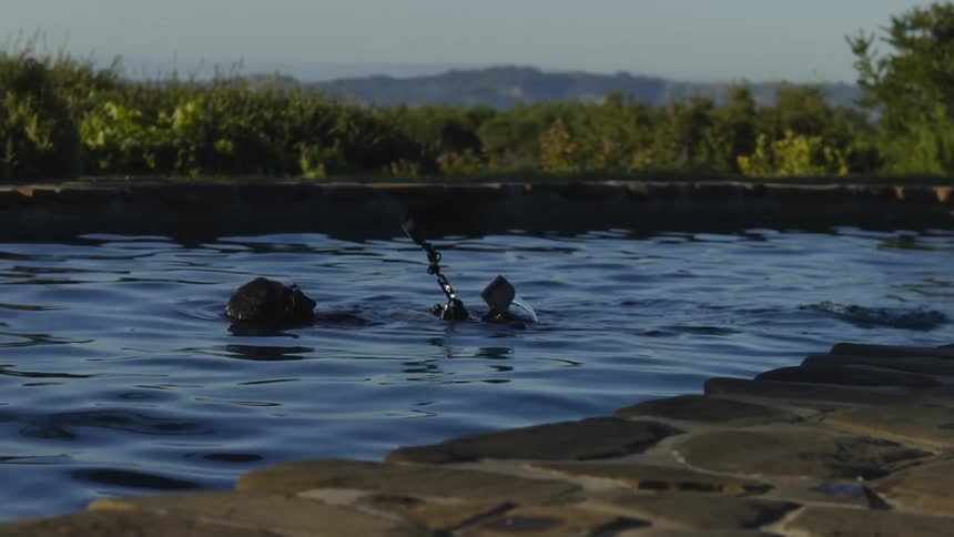Person swims backwards in outdoor pool with waterproof camera