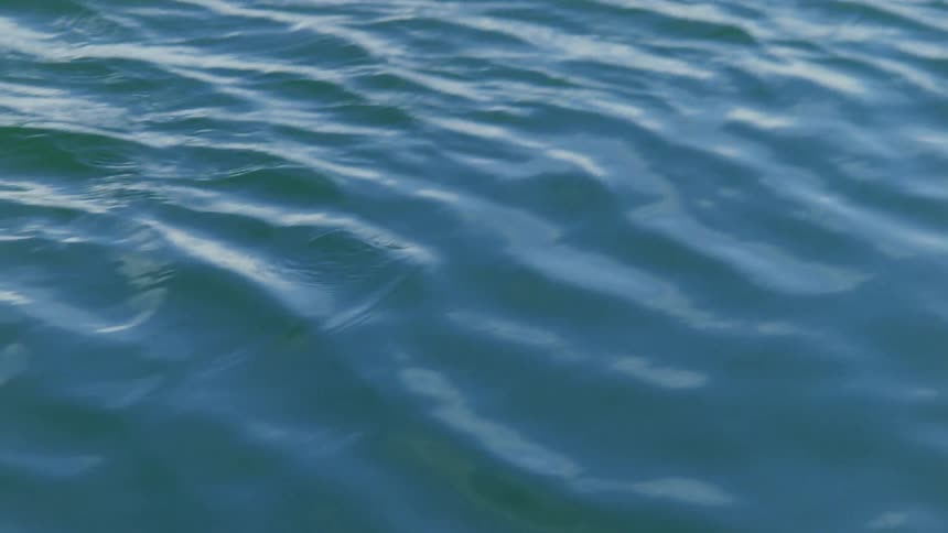 Ripples in the seawater during summer