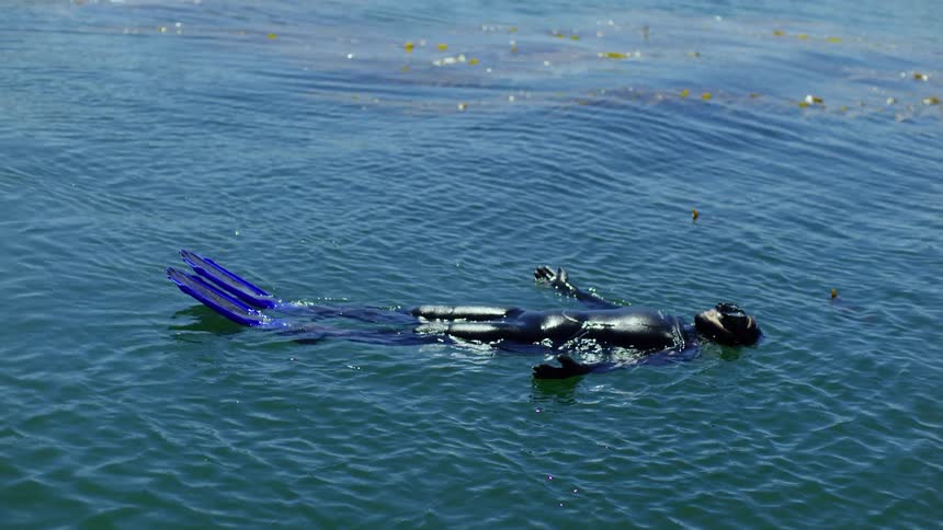 Woman in a wetsuit floating in the sea