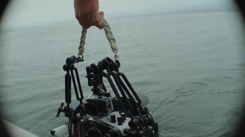 A person handing off camera equipment into the water