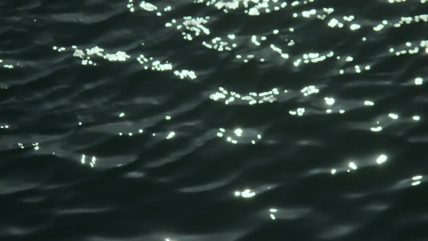 Light reflects on the small waves in the water