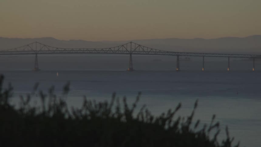 Silhouette of grass on the edge of a hill in front of a bridge in the San Francisco Bay Area