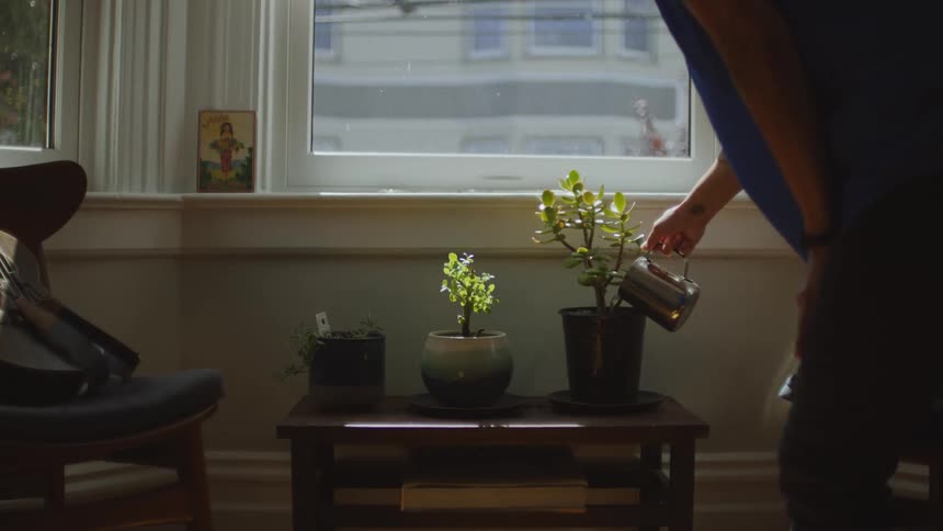 Person watering their potted plants at home