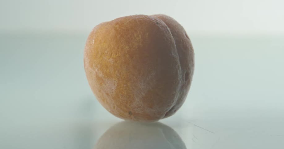 Timelapse of a apricot freezing over