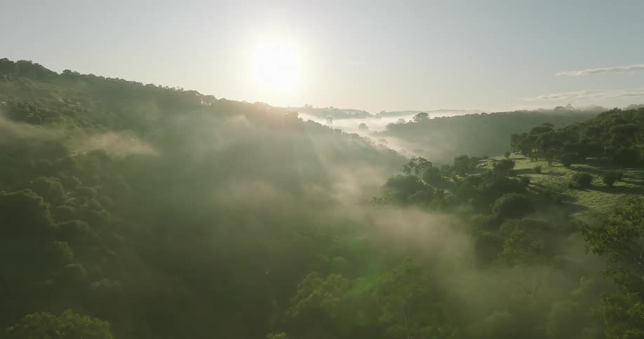 Sunrise over a misty landscape with a forest