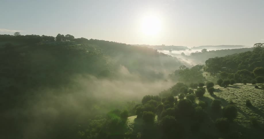 Panorama of mountains with trees and vegetation in the morning sun