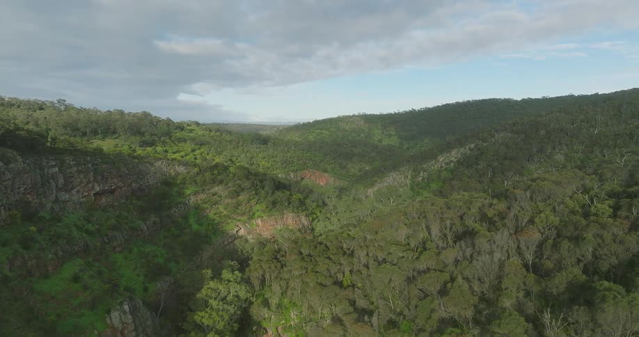Aerial of forest and mountains during sunny day
