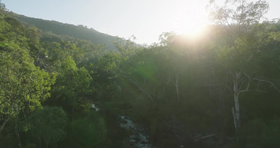 Aerial of a stream in the forest during a sunny morning