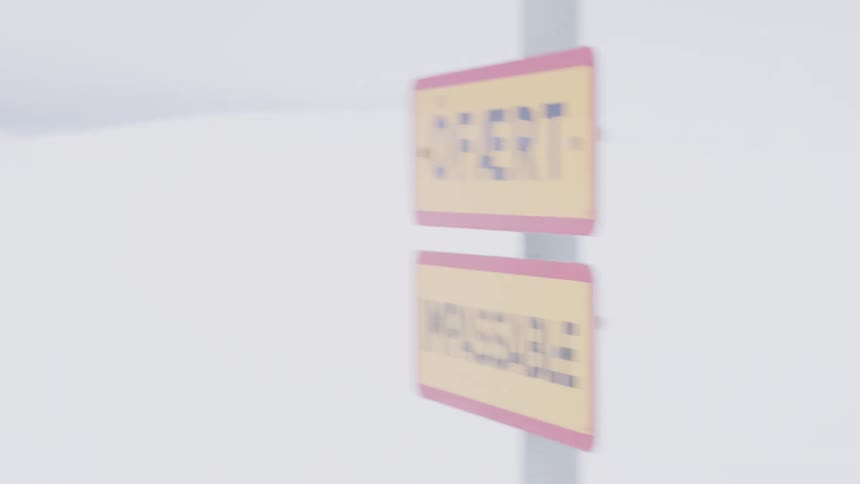 A car stopped on a frozen plain during a blizzard