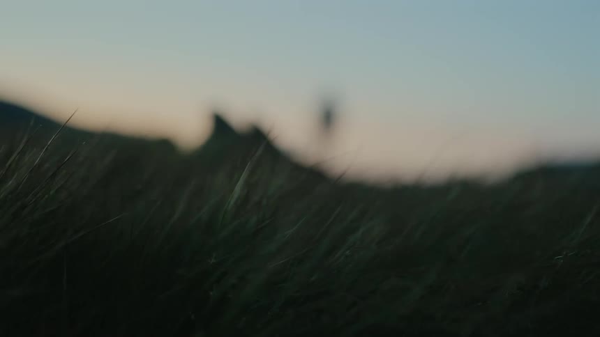 Person runs along long grass at sunrise