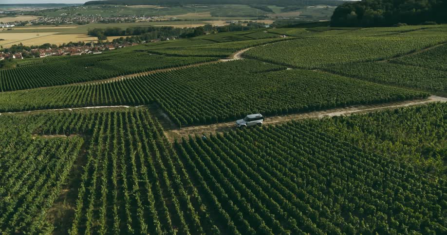 Man walking through agricultural fields in daylight