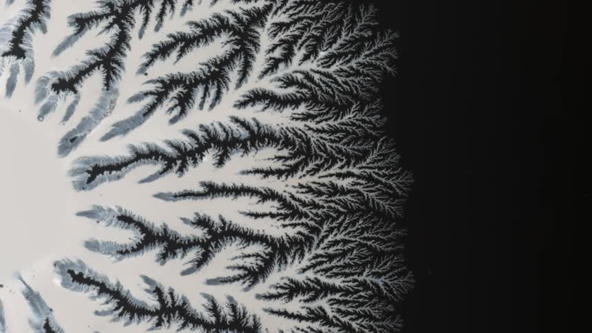 White crystalline pattern spreads against a black background
