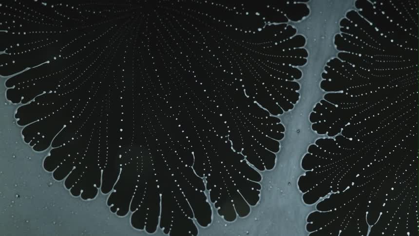 Extreme closeup of a glass drying and dispersing droplets in patterns