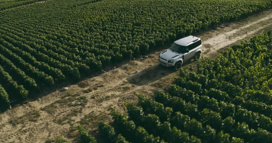Pickup truck moving and stopping in the middle of a plantation area