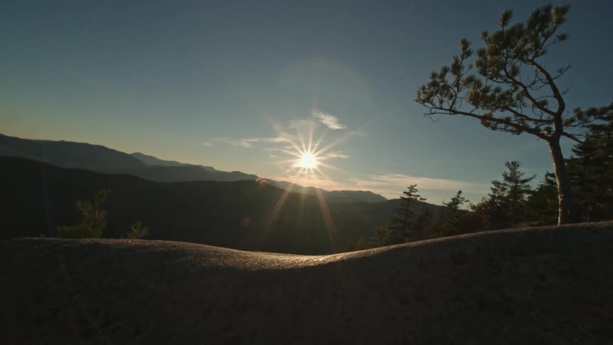 A forest with mountains during the sunny morning