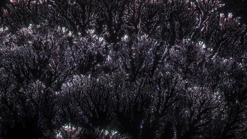 Aerial view of a forest covered in snow