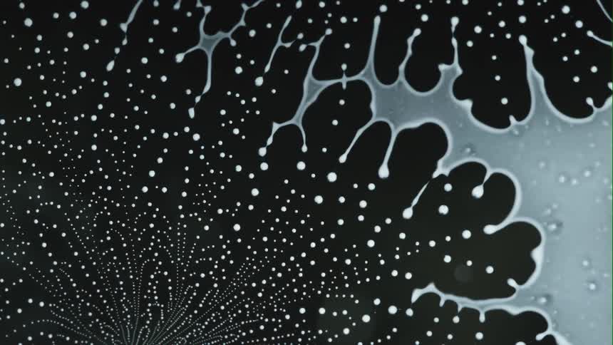 A white fluid disperses and becomes many small droplets that form a pattern