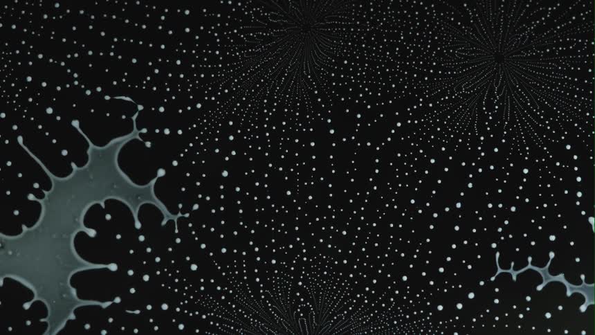 Cloudy liquid evaporates leaving spots that form flower patterns against a black background