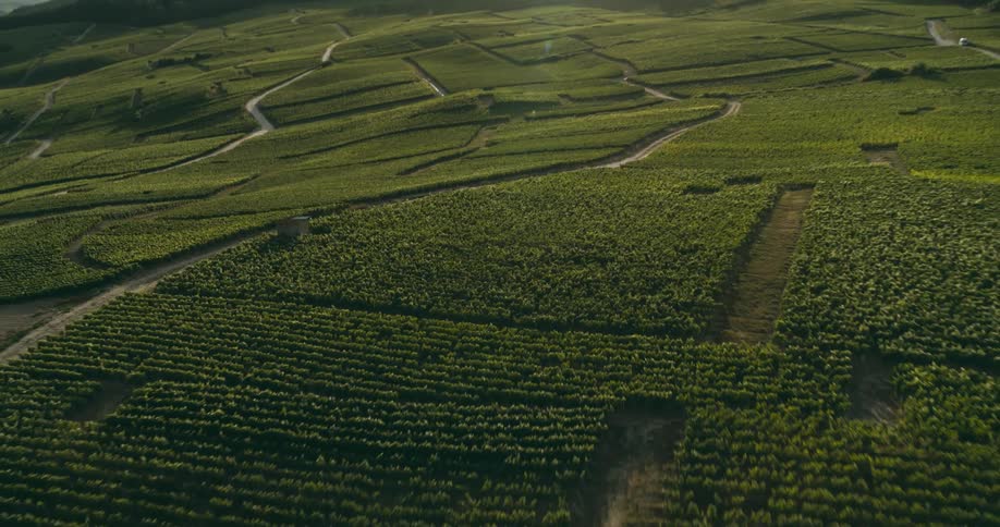 An aerial clip of a farmland
