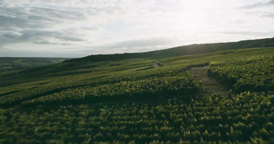 Aerial view of fields in the slopes of the highlands
