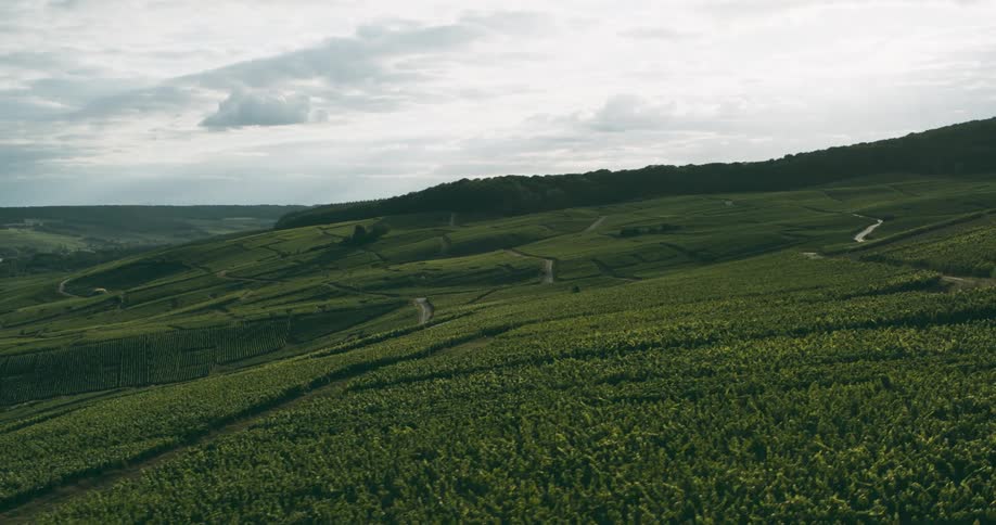 A mountainous region full of grass and vegetation