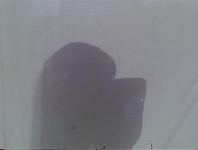 Woman moves while casting shadow onto translucent sheet