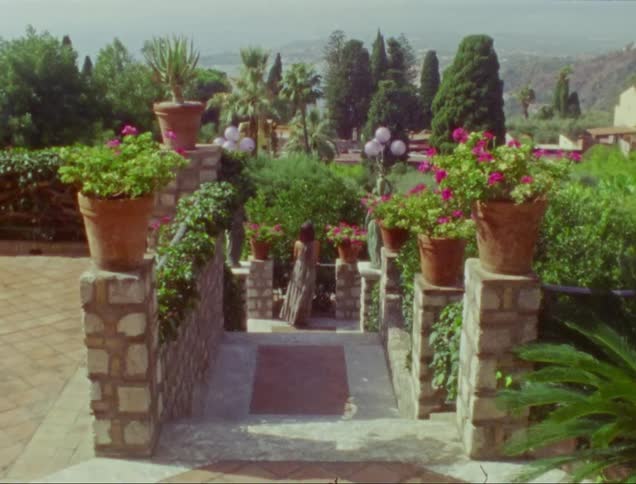 A woman is standing in the garden