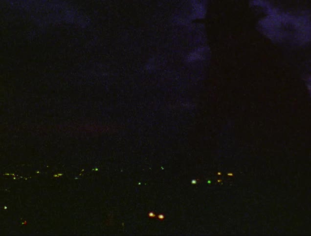 Man with a cowboy hat is silhouetted against the sky and city lights