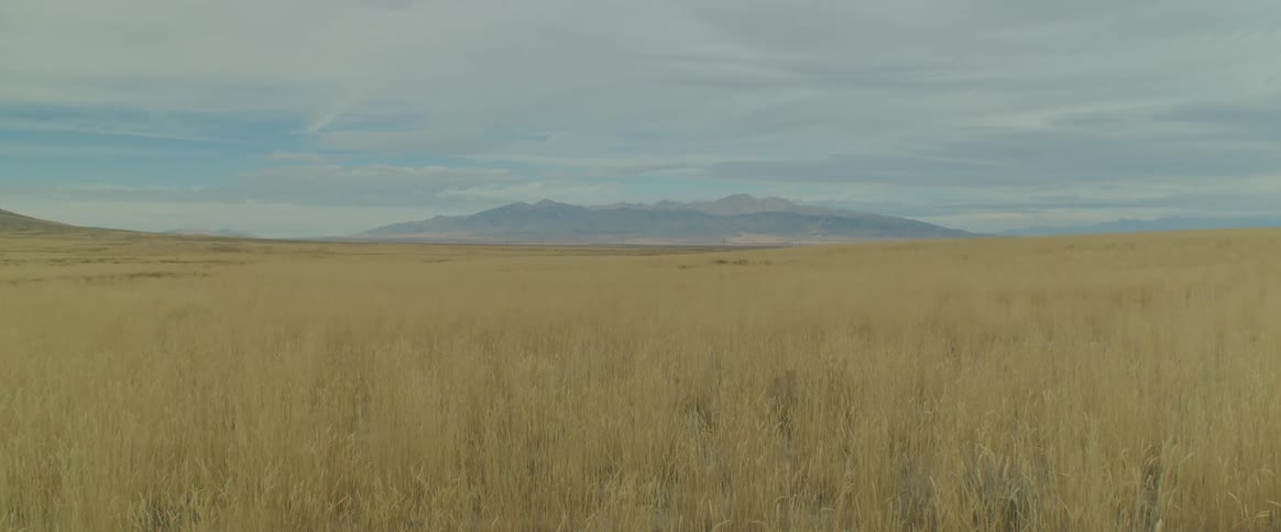 A grassland with a mountain seen in a distance