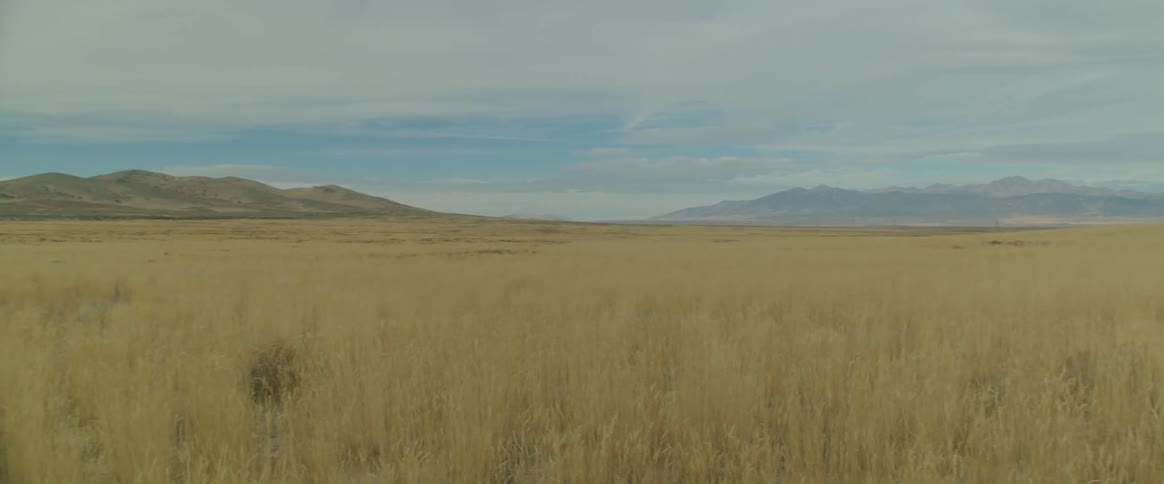 A pasture field with mountains on the horizon
