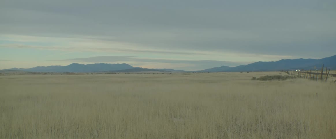 A field of dry grass and in the background distant mountains