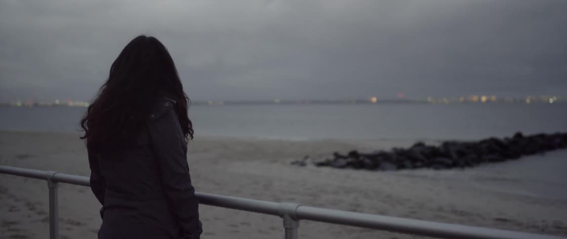 A woman stands by a railing near the beach