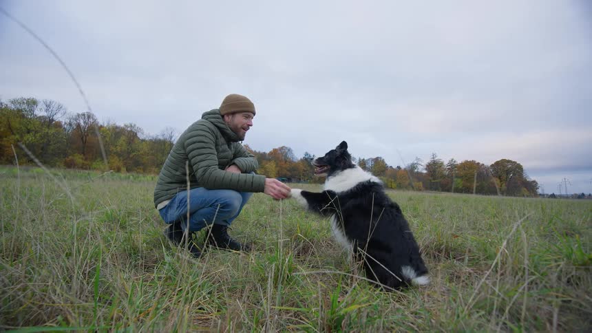 A man pets his dog in a grassy field on a cloudy autumn day