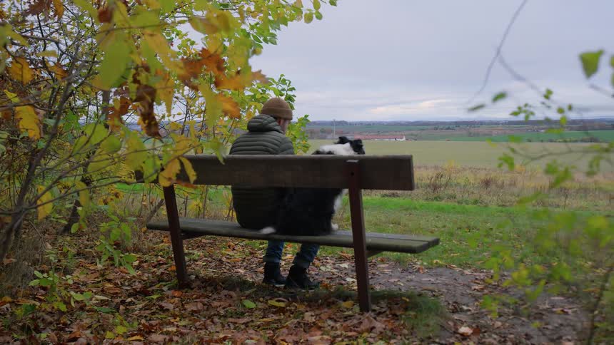 Man and dog sit on bench looking out at field on windy fall day