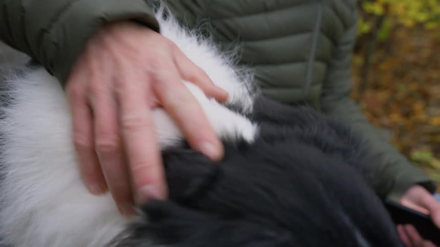 A clip of a men petting his dog