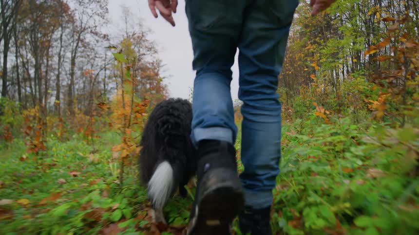 Man wearing a jeans walks a black dog in the forest